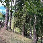 Kuca -