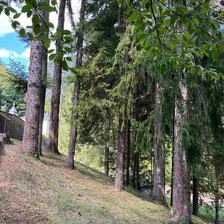 Kuca -
