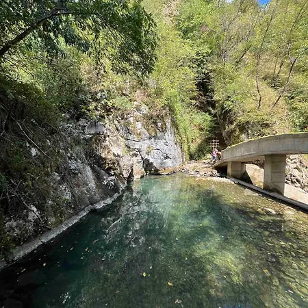 Kuca - * Sekovici