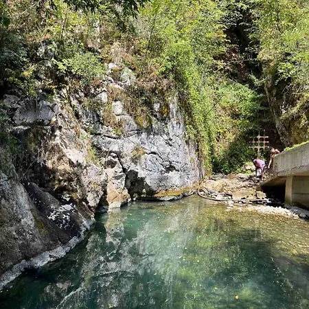Kuca - * Sekovici