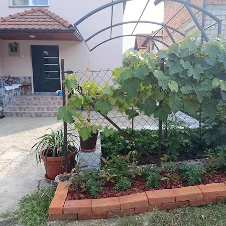Kuca - * Sekovici