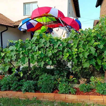 Appartement Kuca - *