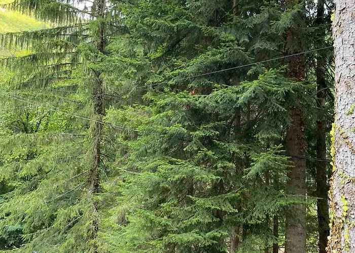 Kuca - شقة Sekovici